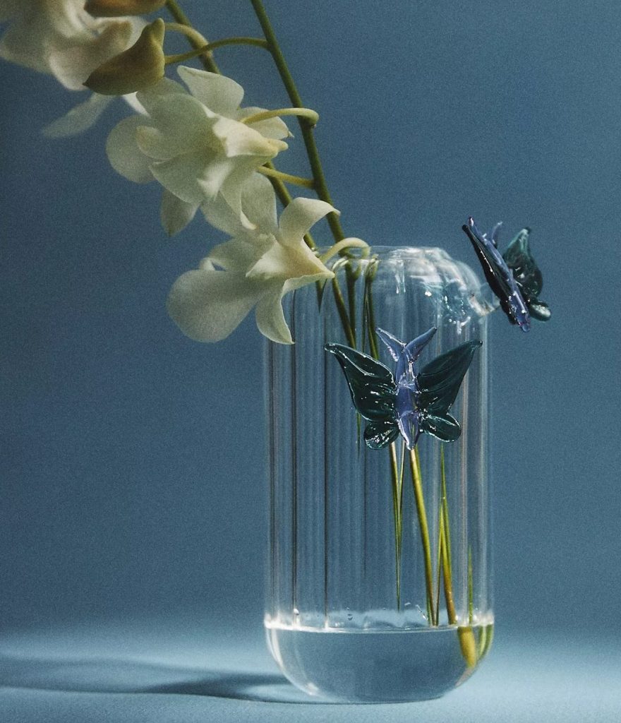 Anthropologie