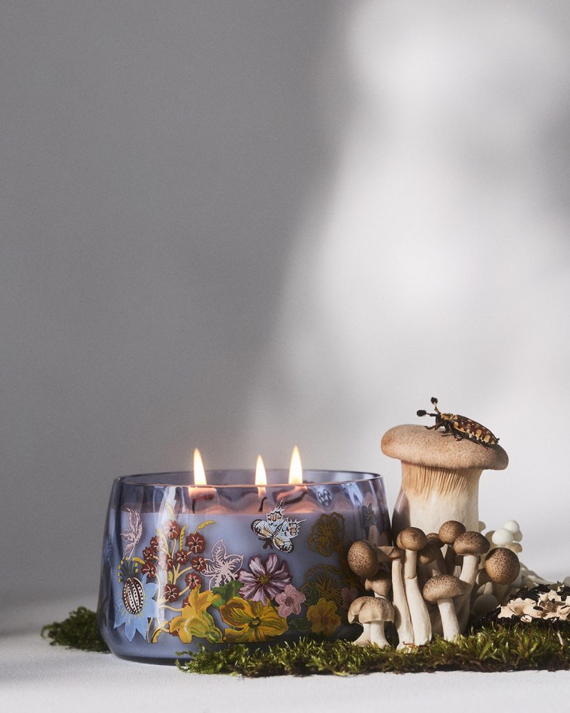 Anthropologie