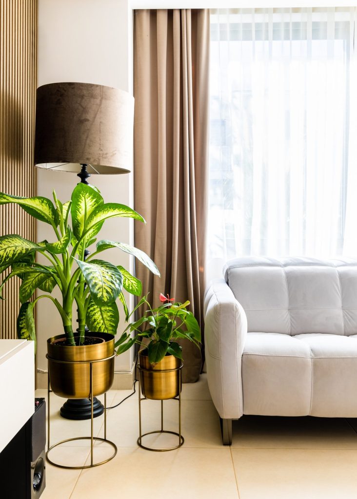 elegant interiors