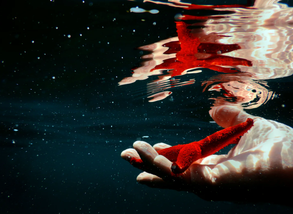 Photo by Marija Grech