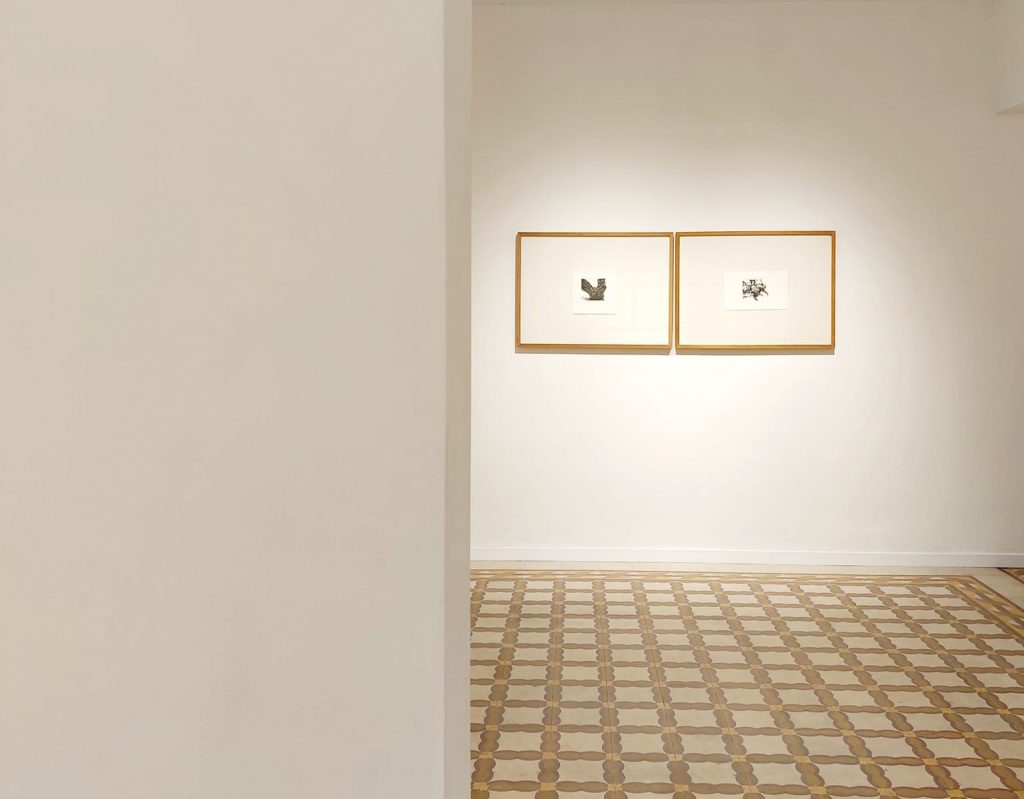 Grafika exhibition at Jo Borg Gallery