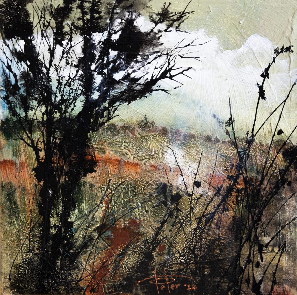 Wastelands by Peter Seychell