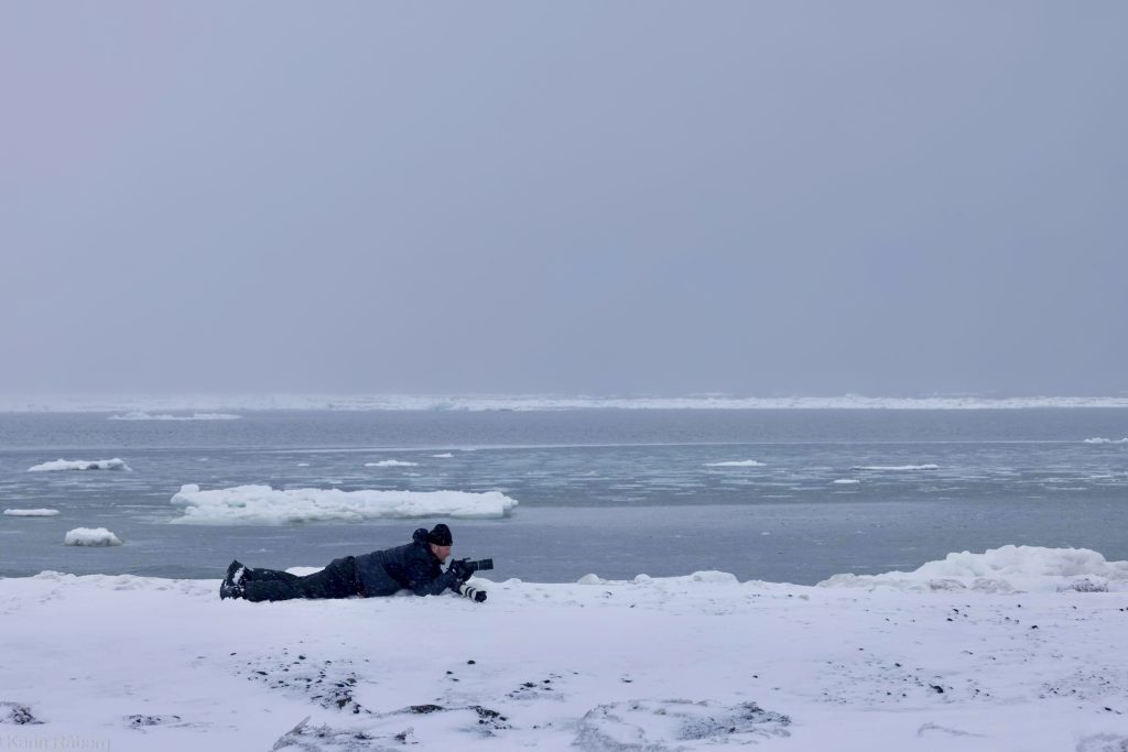 Wildlife photographer Johan Siggesson shooting in the Arctic