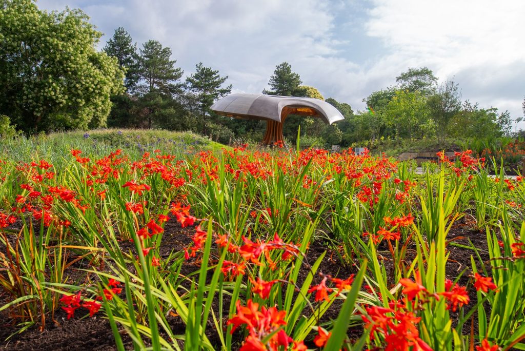 Photo courtesy of Royal Botanic Gardens, Kew