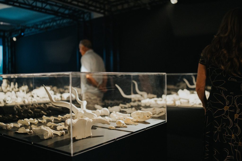 Photo courtesy of Arts Council Malta