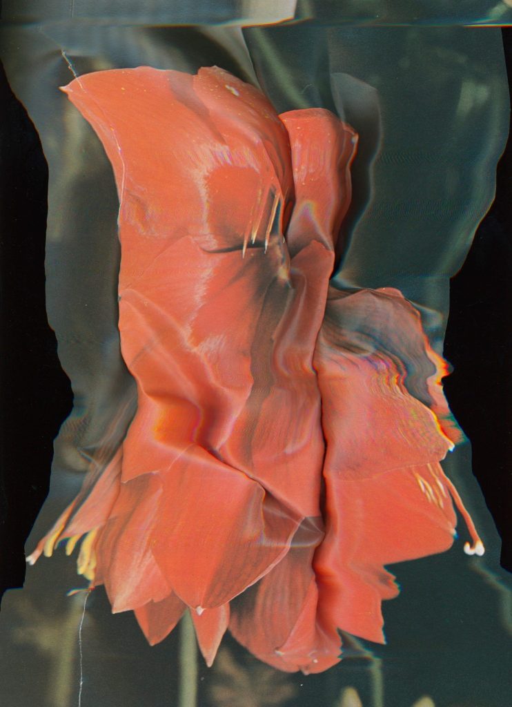 Artworks by Nico Krijno
