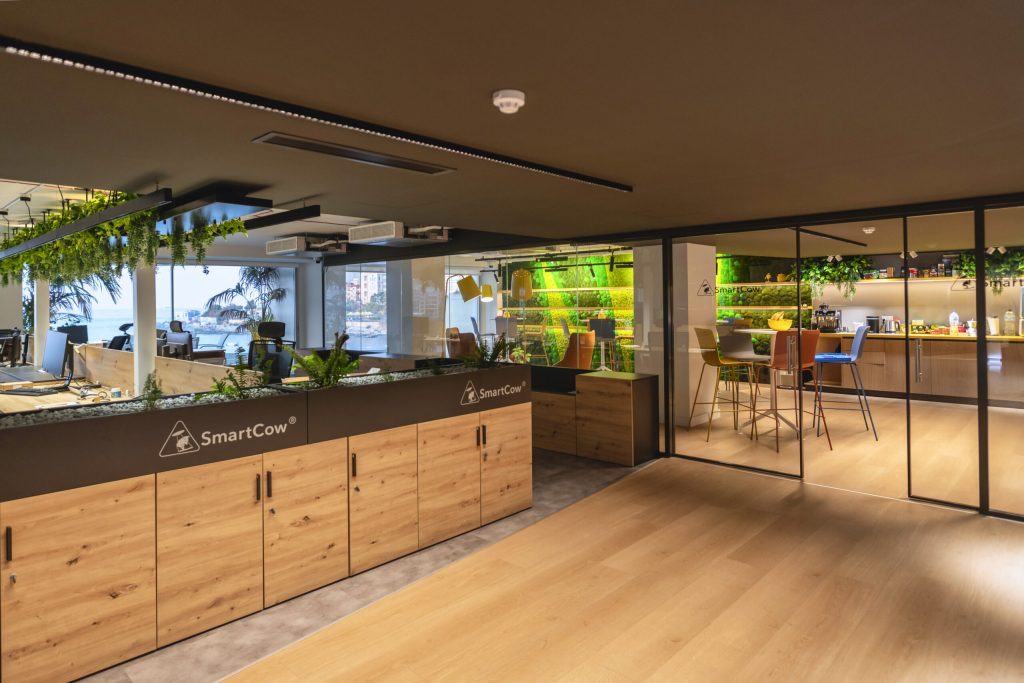Parador laminate flooring. Interior Architecture by MJMDA / Photography by Peter M. Mercieca