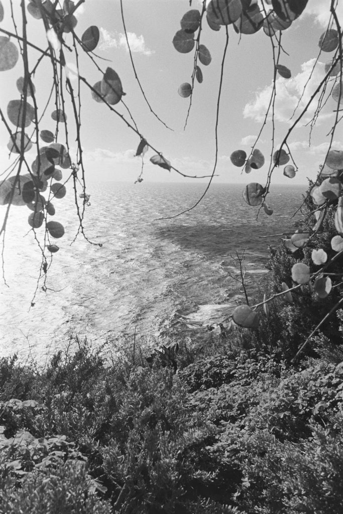 Photography: Inigo Taylor