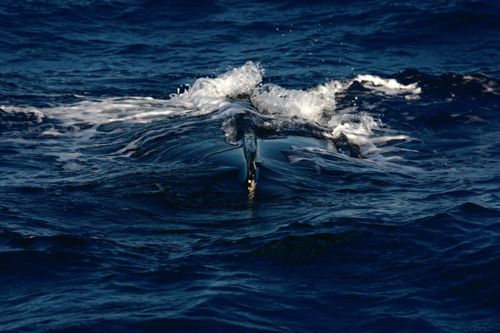 Capturing the migration crisis in the Mediterranean. Photo by Darrin Zammit Lupi