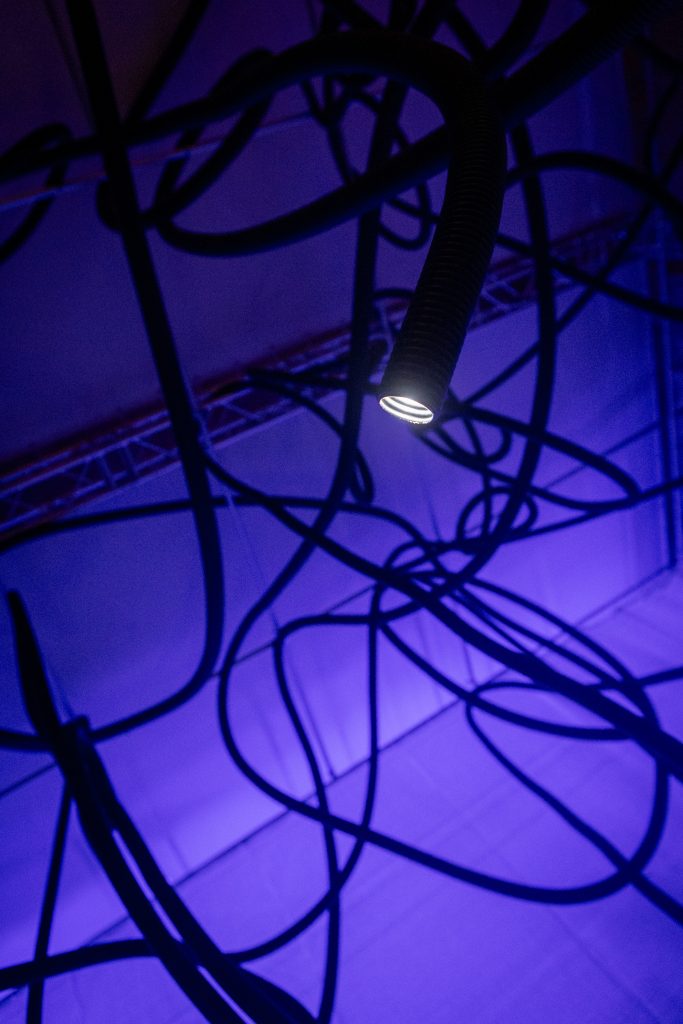 A few Rules for Predicting the Future / Photo by Elisa Von Brockdorff