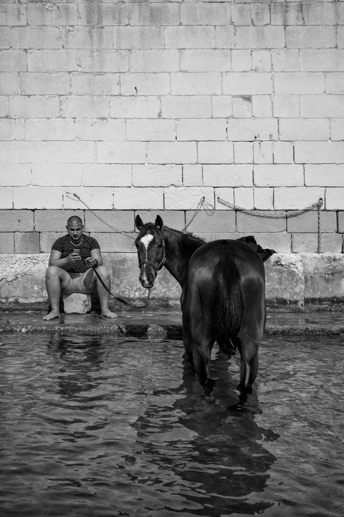 Photography by Daria Troitskaia