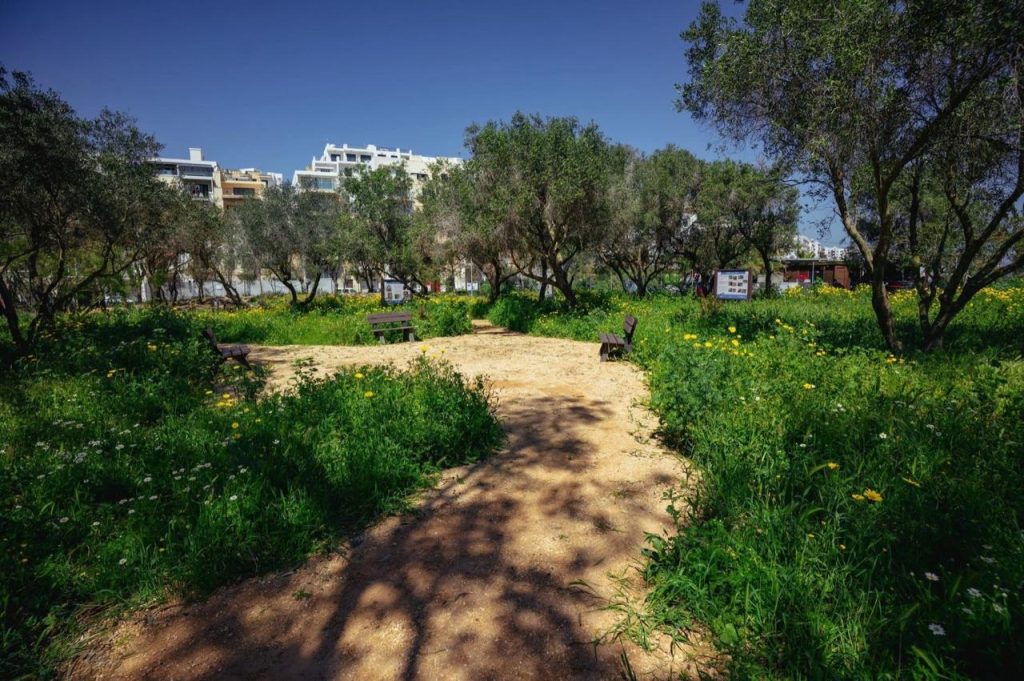 Photography: Project Green