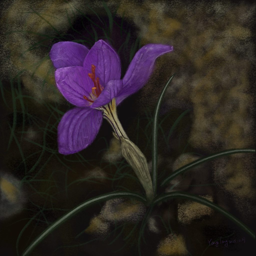 By Yang Tang