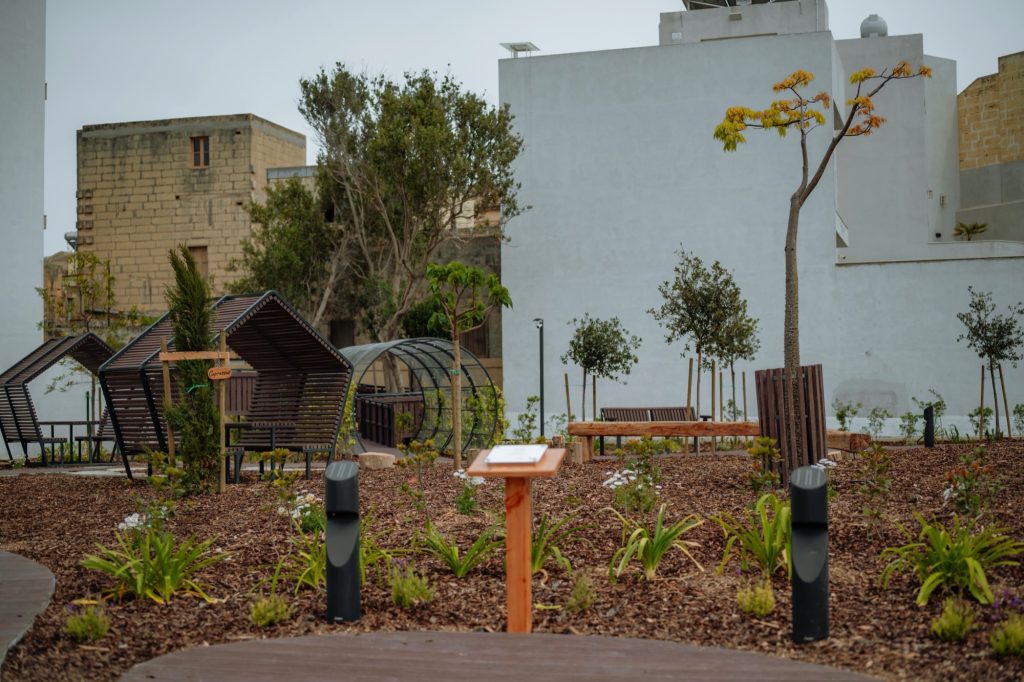 Photography: Project Green